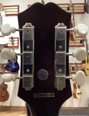 Epiphone - IGMTJ45CVSNH 2